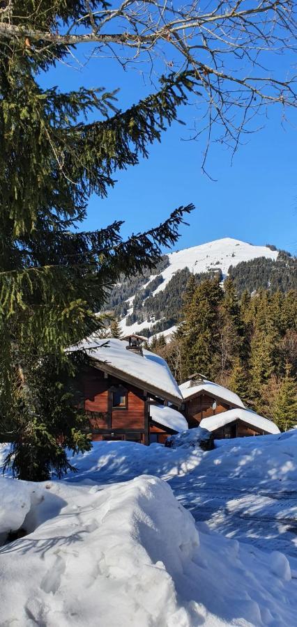 Le Chalet De Nabor Les Gets Bagian luar foto