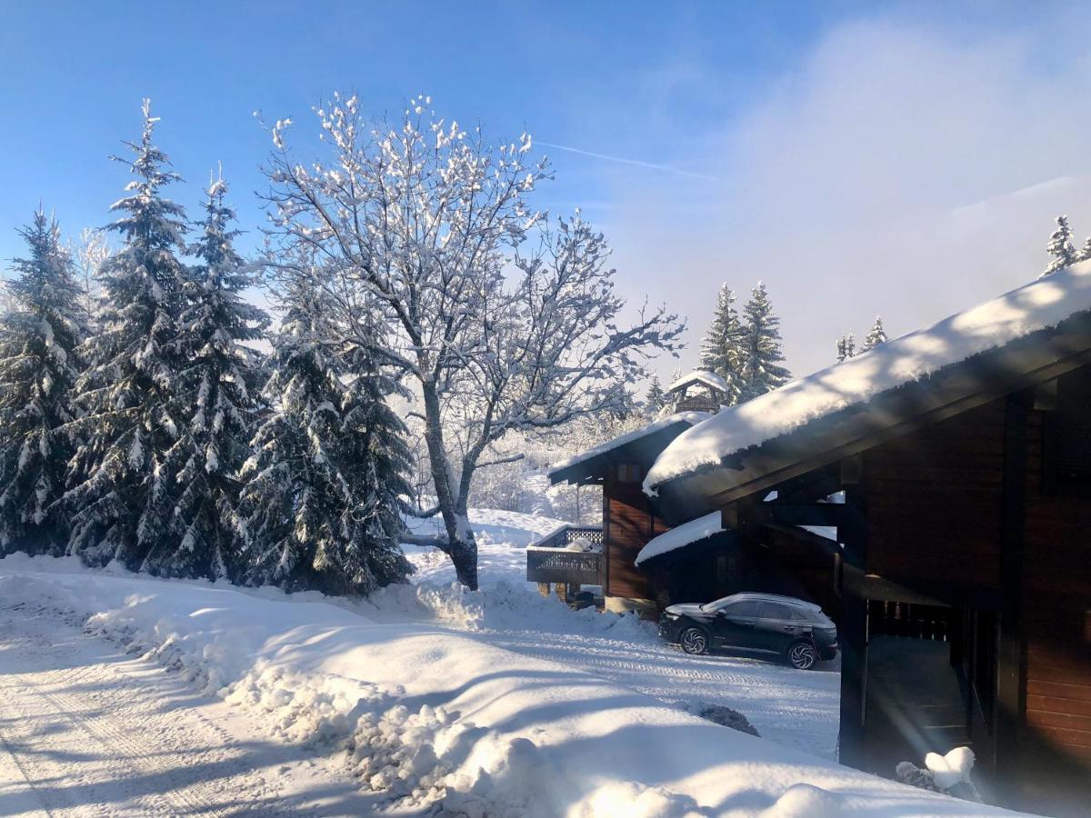 Le Chalet De Nabor Les Gets Bagian luar foto