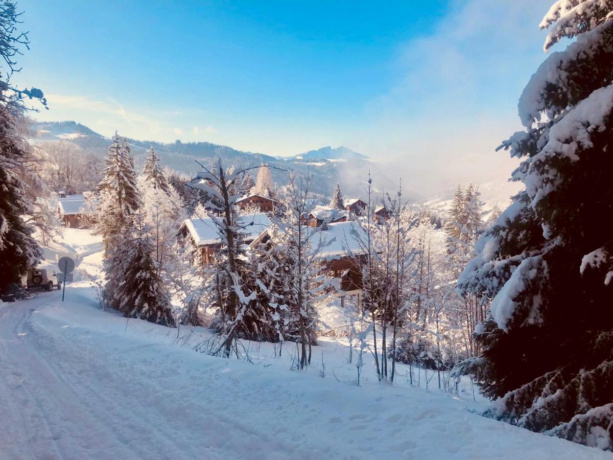 Le Chalet De Nabor Les Gets Bagian luar foto
