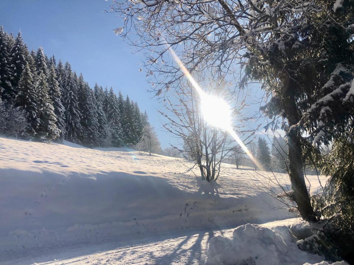 Le Chalet De Nabor Les Gets Bagian luar foto